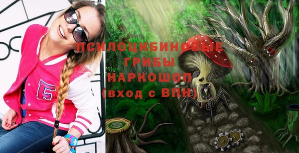 гидра Алексеевка