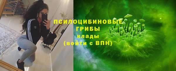 ПСИЛОЦИБИНОВЫЕ ГРИБЫ Алексин