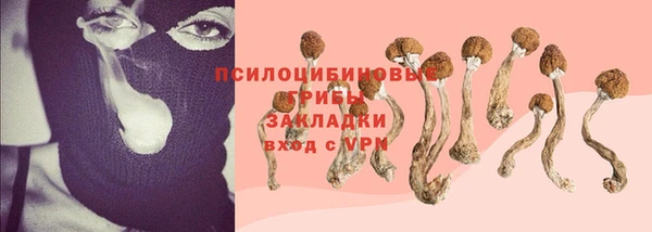молекула духа Алзамай