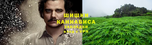 ПСИЛОЦИБИНОВЫЕ ГРИБЫ Алексин