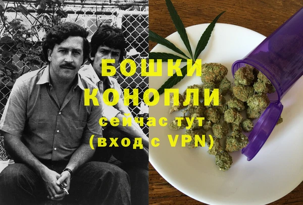 гидра Алексеевка