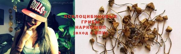 молекула духа Алзамай
