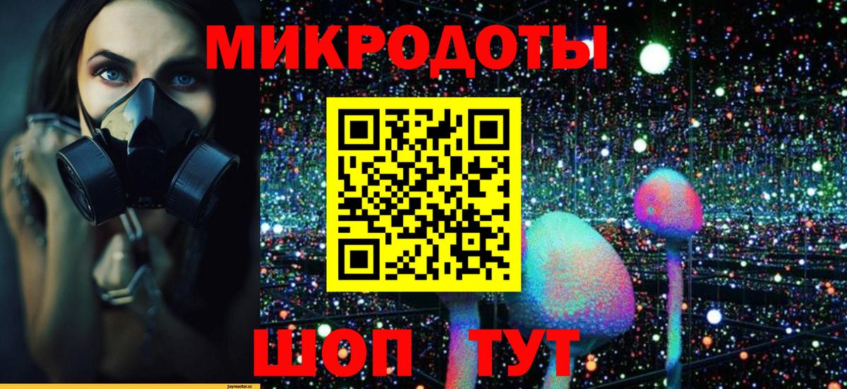 Псилоцибиновые грибы Cubensis  Галлюциногенные грибы MAGIC MUSHROOMS  Йошкар-Ола  Вход с VPN 